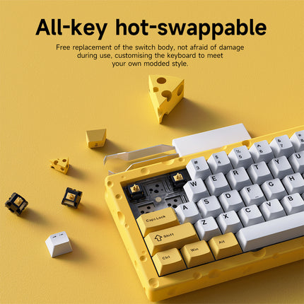 RGB Wired Mechanical Keyboard 67 Key Compact Design Aluminium Alloy Build