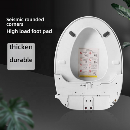 Smart Electric Bidet Toilet Seat with Feminine Wash, LED Display, Night Light & IPX4 Waterproof