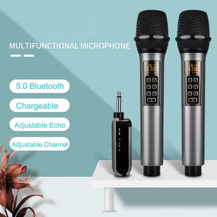 Portable Dual Wireless Microphones with Receiver, Charging Cable & Audio Adapter