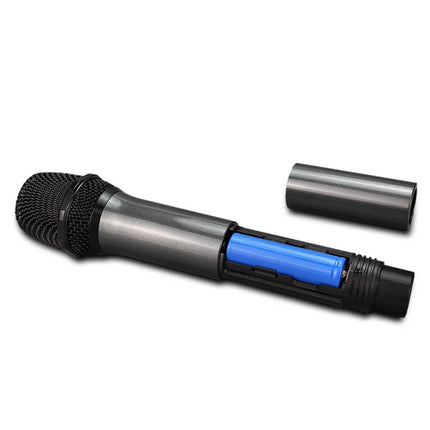 Portable Dual Wireless Microphones with Receiver, Charging Cable & Audio Adapter