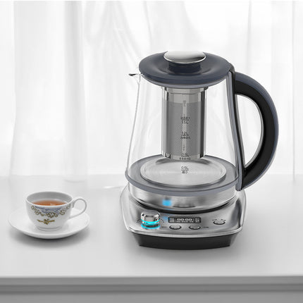 Cordless Electric Glass Tea Kettle with Temperature Control and Removable Infuser