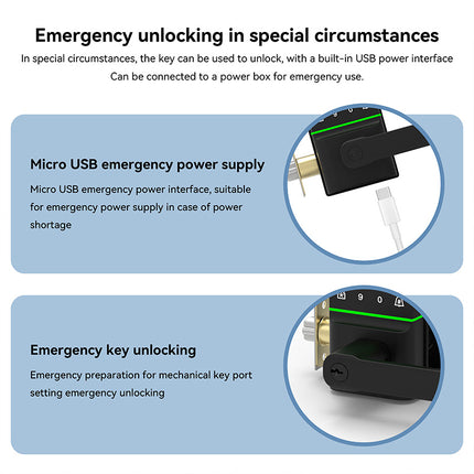 WiFi Smart Door Lock with Fingerprint Recognition, Password Entry, RFID Card and App Access