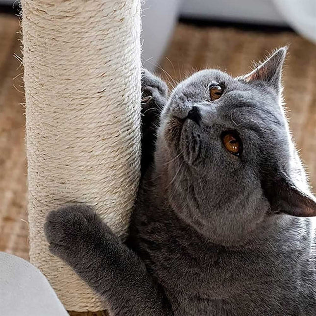 Multilayer Indoor Cat Climbing Tower with Scratching Posts and Woven Rattan Huts