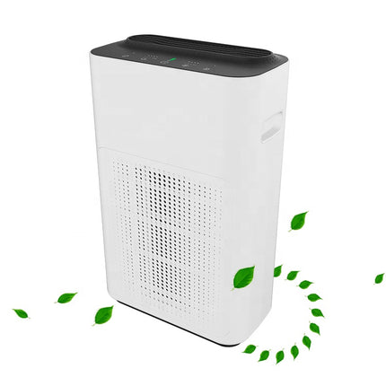 Portable Home Air Purifier with HEPA Filter, Auto Mode and Timer Control