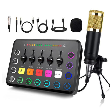 Portable Wireless Sound Card and Microphone Set for PC and Mobile Recording