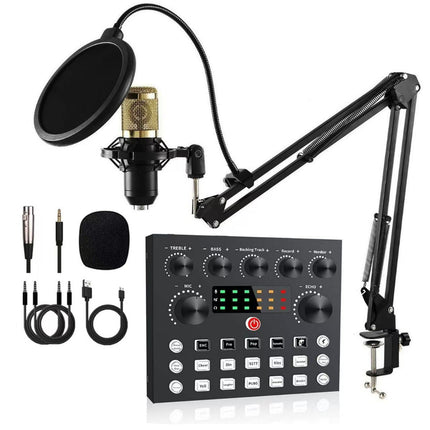 Professional Studio Microphone Kit with V8S Audio Interface and Voice Effects