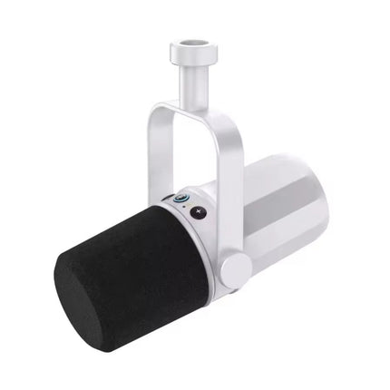 Professional Dynamic XLR Microphone with Cardioid Pickup for Studio Recording, Podcasting & Broadcasting