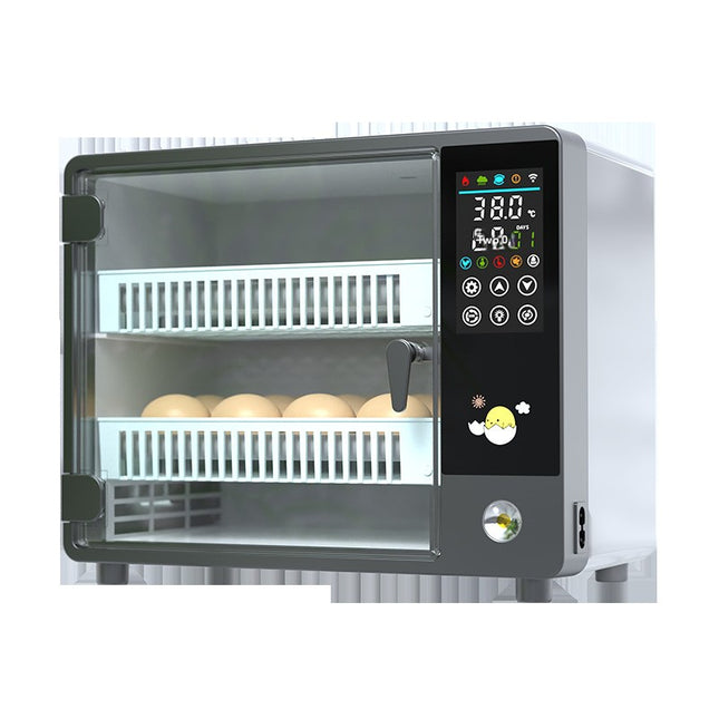 Portable Automatic Egg Incubator with Constant Temperature Control for Poultry Eggs