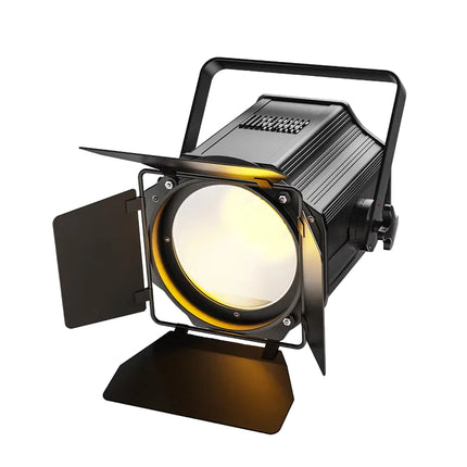 Professional 200W LED Par Light with Adjustable White Color for Venues