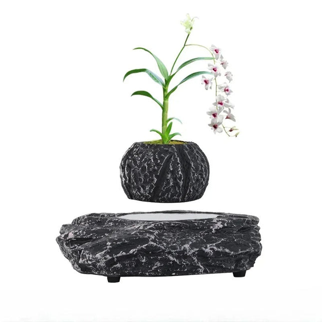 Levitating Floating Plant Pot with Dark Resin Base – 70mm Desktop Planter for Home and Office Décor, 250g Capacity