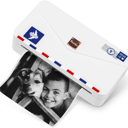 Portable Thermal Label Printer with 2200mAh Battery, 203 DPI Wireless Sticker Printing