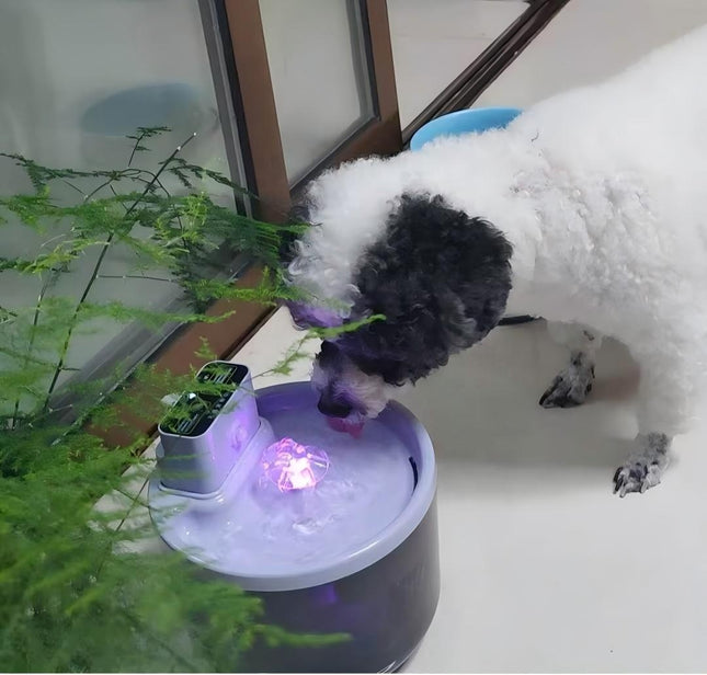 Smart Pet Water Fountain with UVC Sterilization, Motion Sensor & Rechargeable Battery for Cats and Dogs, Bright Yellow