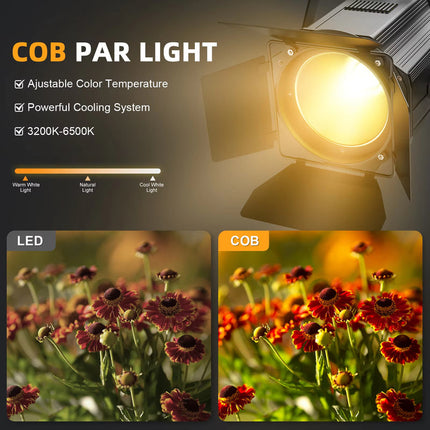 Professional 200W LED Par Light with Adjustable White Color for Venues