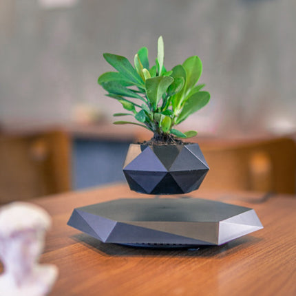 Magnetic Floating Air Bonsai Pot Modern Levitating Indoor Planter for Home & Office