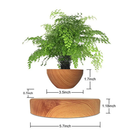 Floating Levitating Bonsai Planter with Rotating Wooden Stand for Home Office Decor