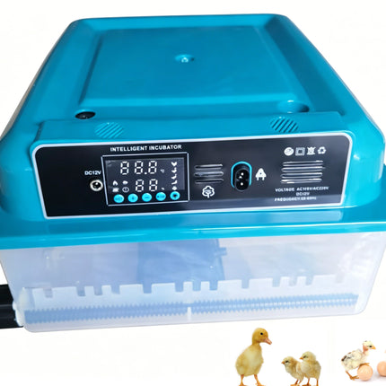 Household 12 Egg Incubator with Constant Temperature System for Reliable Egg Hatching