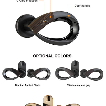 Smart RFID Door Lock with Mechanical Emergency Key, Stainless Steel Latch for Hotels and Apartments