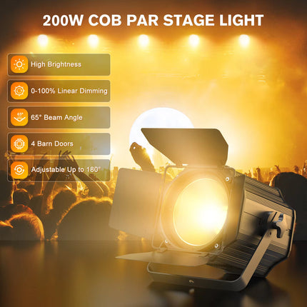 Professional 200W LED Par Light with Adjustable White Color for Venues