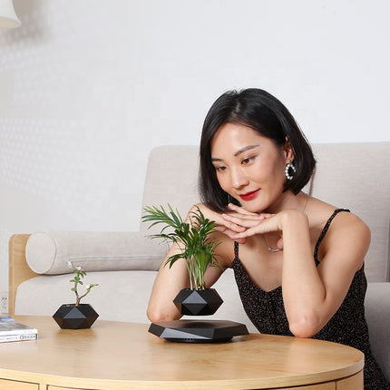 Magnetic Floating Air Bonsai Pot Modern Levitating Indoor Planter for Home & Office