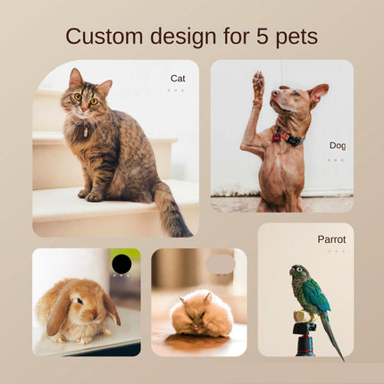 Multifunction Pet Food Maker with Steam Cooking and Drying for Homemade Dog & Cat Meals