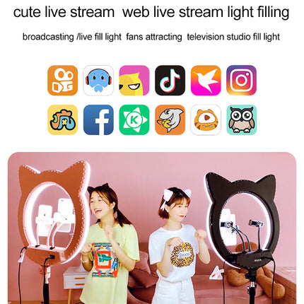 Large LED Ring Light 20 Inch with Tripod Adjustable Colour Temperature and Multiple Phone Holders