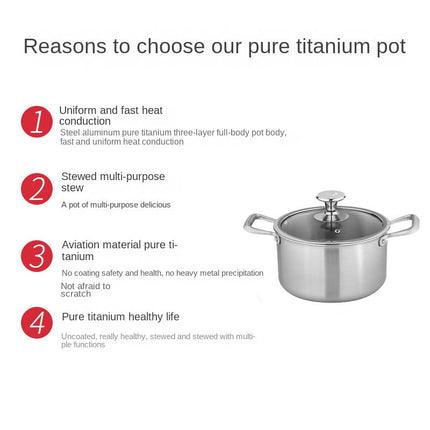 24cm Pure Titanium Stock Pot with Tempered Glass Lid – Induction Compatible Cookware