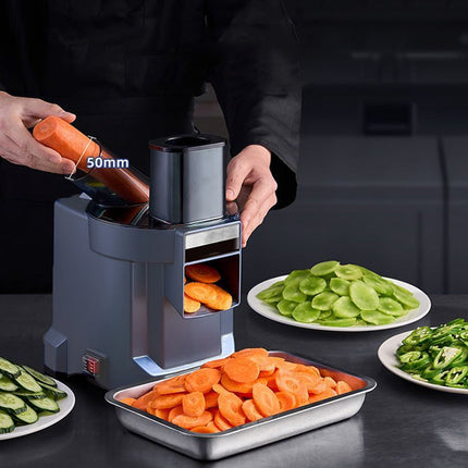 Dual-Port Commercial Food Processor 100W with Large Feed Chute – Grey