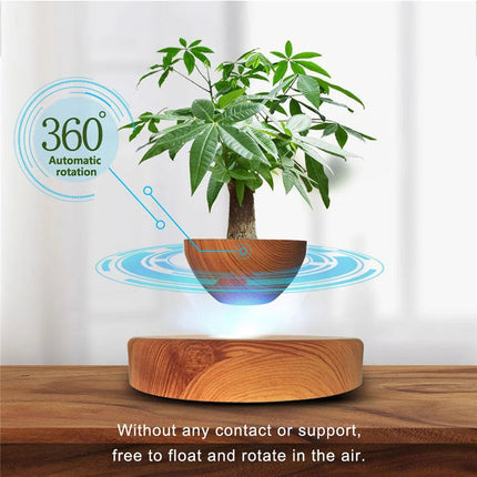 Floating Levitating Bonsai Planter with Rotating Wooden Stand for Home Office Decor