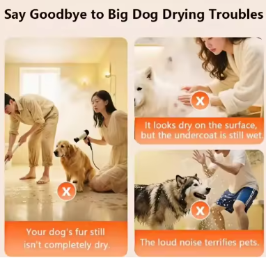 Compact Portable Pet Hair Dryer with Brushless Motor, Lightweight ABS Body & Rechargeable Design