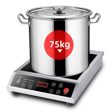 3500W Ceramic Induction Cooker with Steam Boil Function and Stainless Steel Design