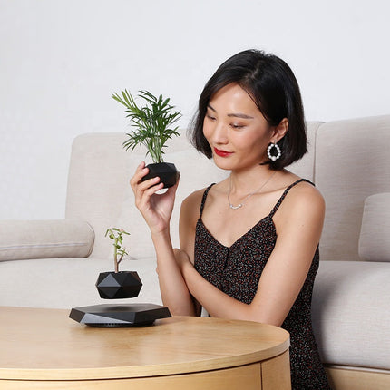 Magnetic Floating Air Bonsai Pot Modern Levitating Indoor Planter for Home & Office