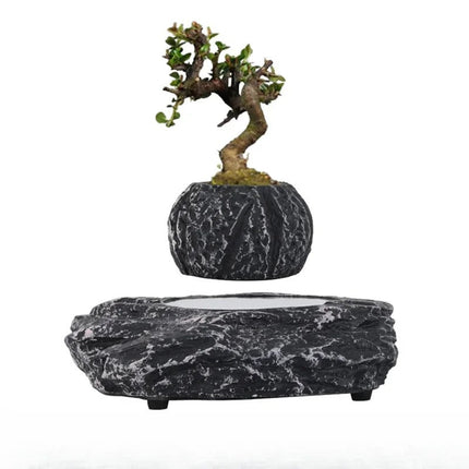 Levitating Floating Plant Pot with Dark Resin Base – 70mm Desktop Planter for Home and Office Décor, 250g Capacity