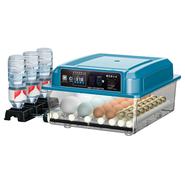 Household 12 Egg Incubator with Constant Temperature System for Reliable Egg Hatching