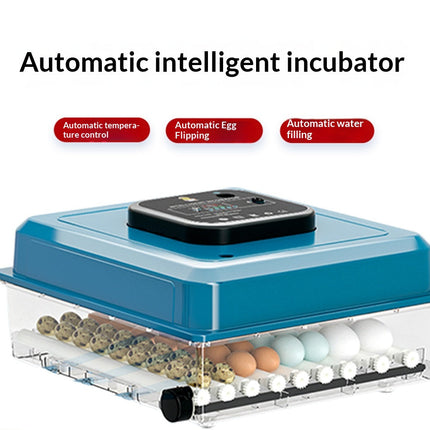 Household 12 Egg Incubator with Constant Temperature System for Reliable Egg Hatching