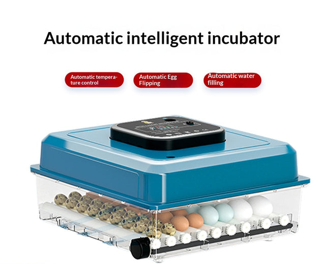 Household 12 Egg Incubator with Constant Temperature System for Reliable Egg Hatching