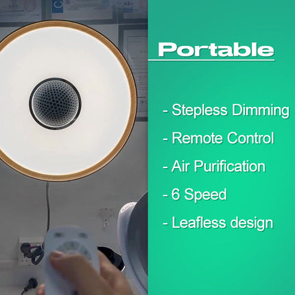 Bladeless LED Ceiling Fan with 3000lm Light, 5.7m/s Airflow & HEPA 11 Filter