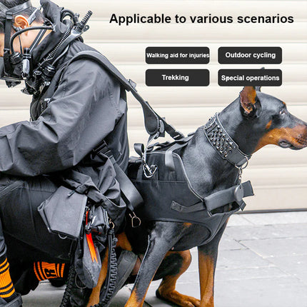 Hands-Free Travel Pet Backpack for Dogs with Ventilated Mesh & Ergonomic Fit – Heavy Duty Carrier Bag