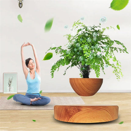 Floating Levitating Bonsai Planter with Rotating Wooden Stand for Home Office Decor