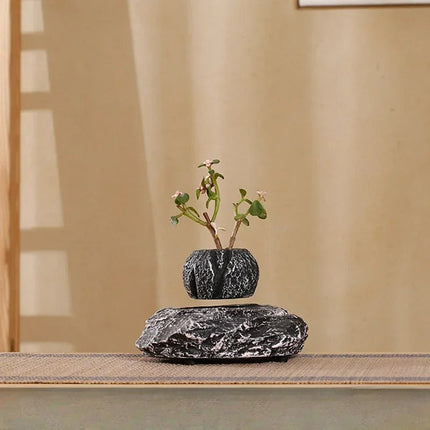 Levitating Floating Plant Pot with Dark Resin Base – 70mm Desktop Planter for Home and Office Décor, 250g Capacity