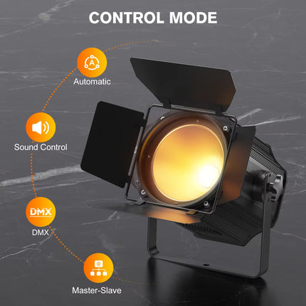 Professional 200W LED Par Light with Adjustable White Color for Venues