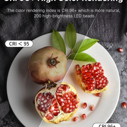 Handheld Bi-Colour LED Ring Light 20W CRI96+ Rechargeable for Phone and Camera Video