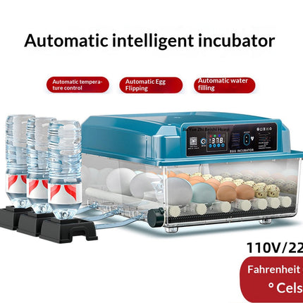 Household 12 Egg Incubator with Constant Temperature System for Reliable Egg Hatching