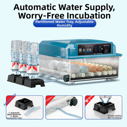 Household 12 Egg Incubator with Constant Temperature System for Reliable Egg Hatching