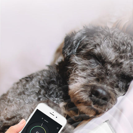 Portable USB Rechargeable Pet Grooming Clipper for Small & Large Dogs and Cats with Ceramic Blade Pink