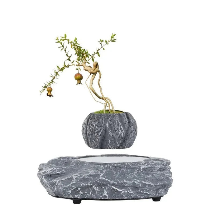 Levitating Floating Plant Pot with Dark Resin Base – 70mm Desktop Planter for Home and Office Décor, 250g Capacity