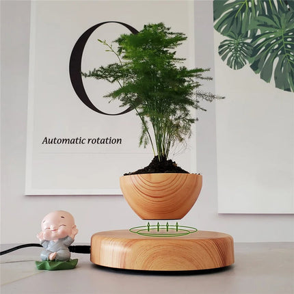 Floating Levitating Bonsai Planter with Rotating Wooden Stand for Home Office Decor