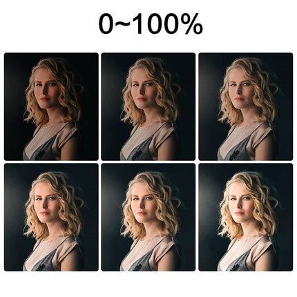 65W Red Head LED Photo & Video Studio Light with Adjustable Brightness, AC/DC Powered