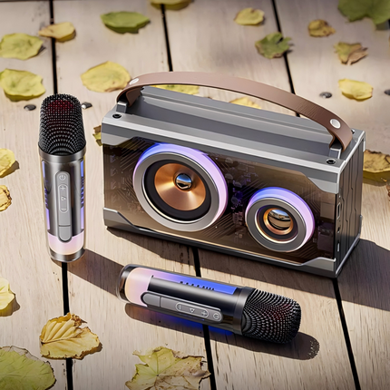 Rechargeable Bluetooth Karaoke Speaker for Home and Outdoor Use with RGB Lights