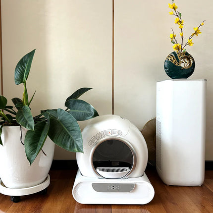 Smart Automatic Cat Litter System with Mobile App, Advanced Smell Reduction & Large Waste Drawer