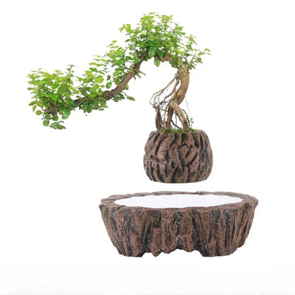 Levitating Floating Plant Pot with Dark Resin Base – 70mm Desktop Planter for Home and Office Décor, 250g Capacity